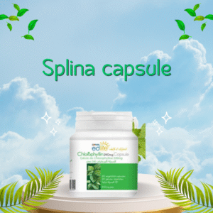 EDMARK CHLOROPHYLLIN CAPSULE